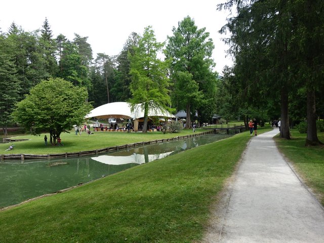 DSC04586.JPG