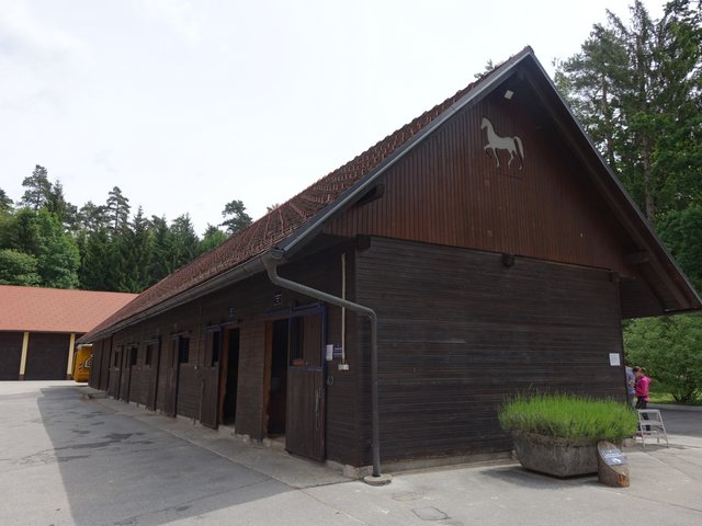 DSC04606.JPG