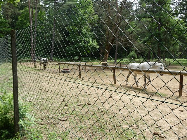 DSC04618.JPG
