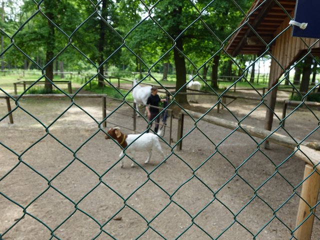 DSC04621.JPG