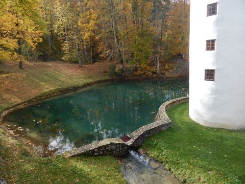 DSCN7127.JPG