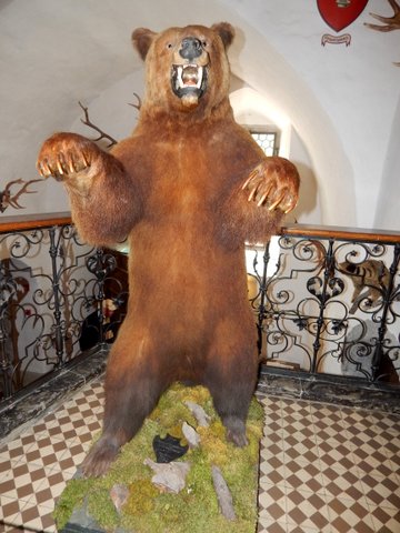 DSCN7139.JPG