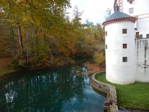 DSCN7140.JPG