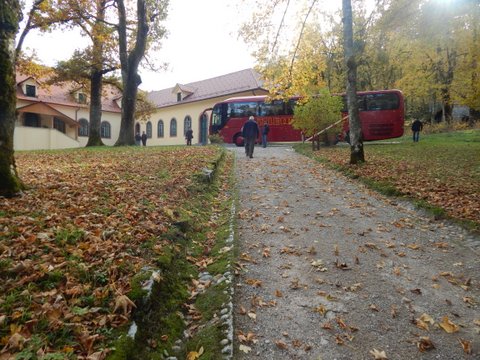 DSCN7142.JPG