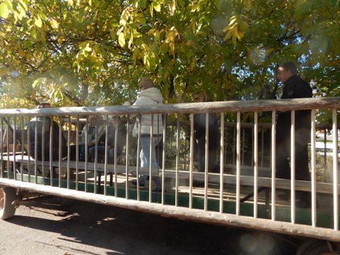 DSCN7149.JPG