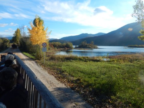 DSCN7164.JPG