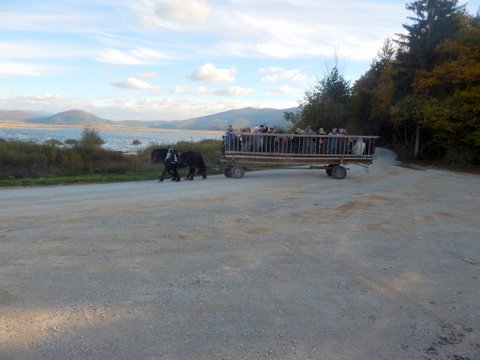 DSCN7176.JPG