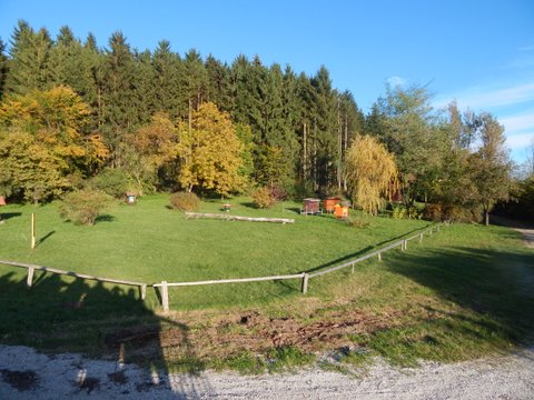 DSCN7181.JPG