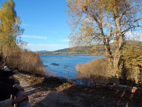 DSCN7184.JPG