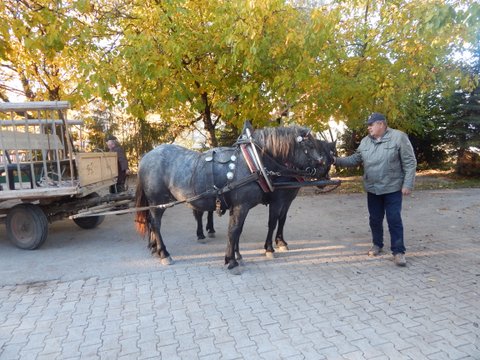 DSCN7204.JPG