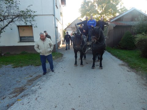 DSCN7208.JPG