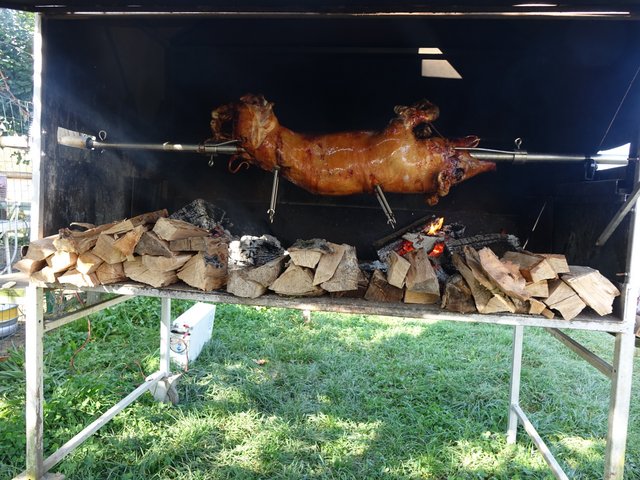 DSC05738.JPG