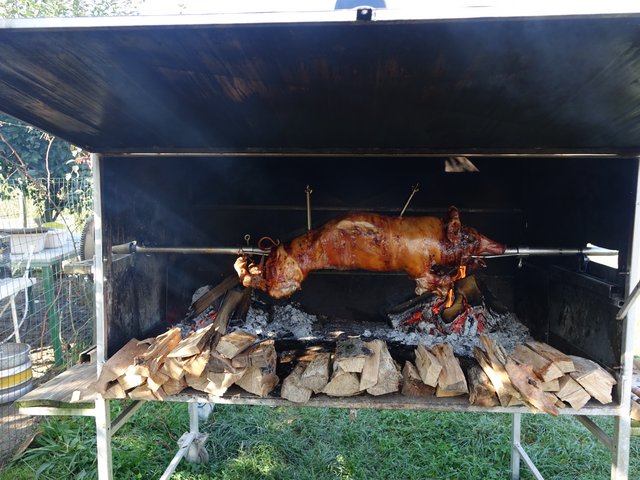 DSC05747.JPG