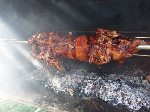 DSC05753.JPG