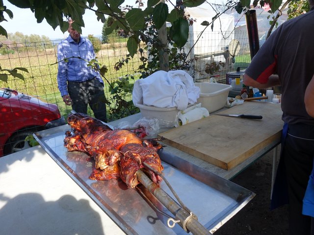 DSC05756.JPG