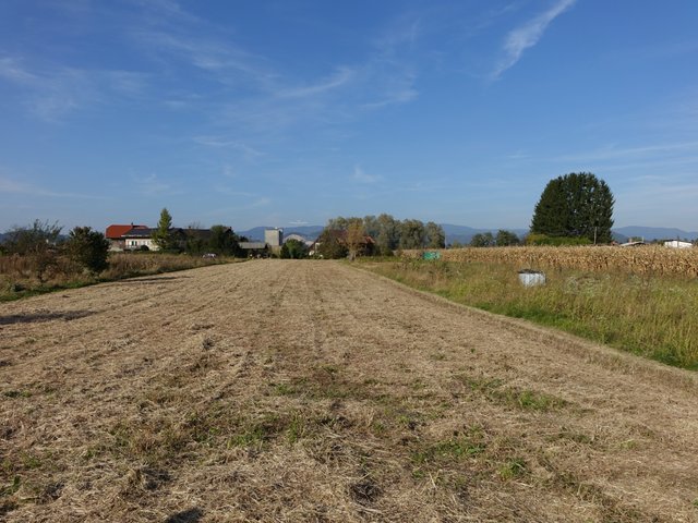 DSC05771.JPG