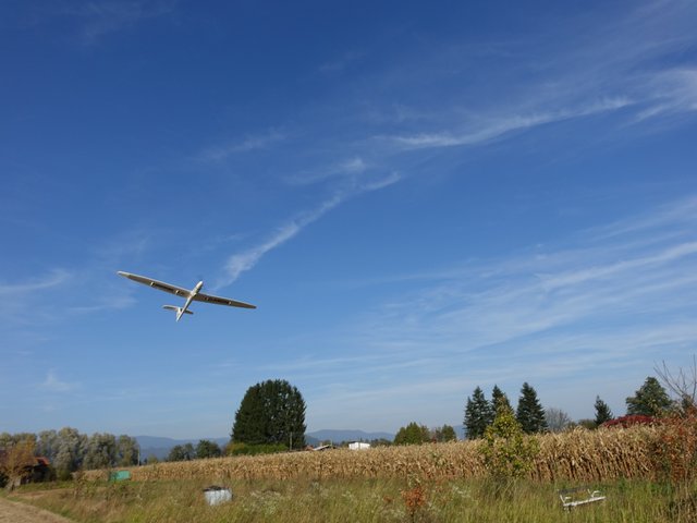DSC05782.JPG