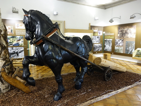 DSC04614.JPG