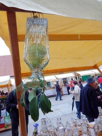 DSCN6745.JPG