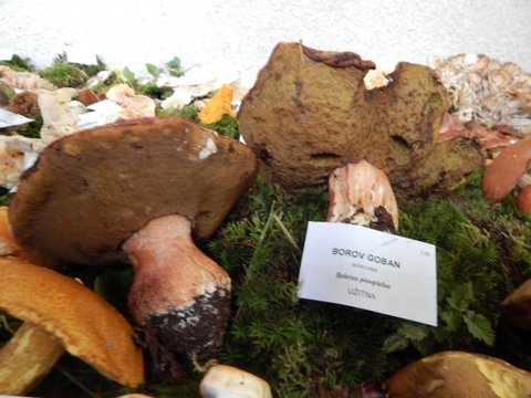 DSCN6763.JPG