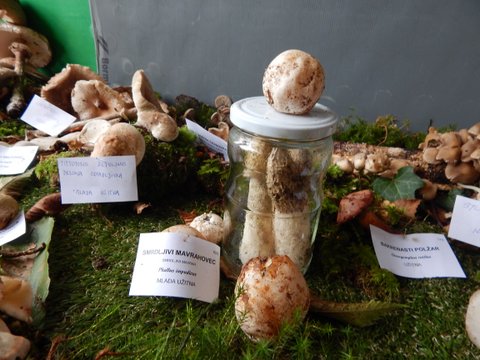 DSCN6770.JPG