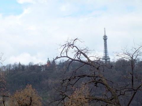 DSCF1612.JPG