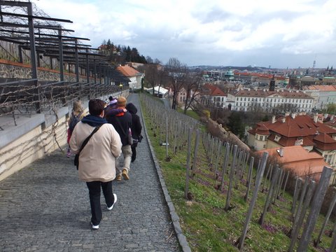 DSCF1613.JPG