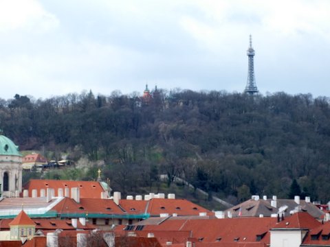 DSCF1617.JPG