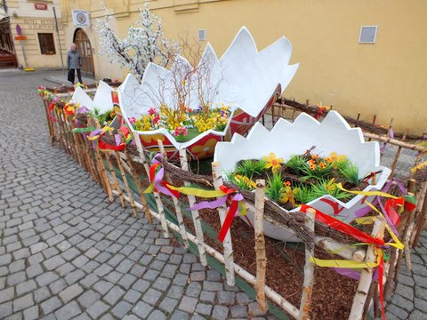 DSCF1631.JPG