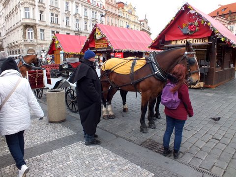 DSCF1722.JPG