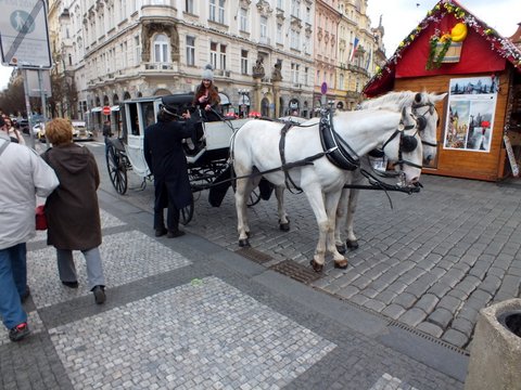 DSCF1724.JPG
