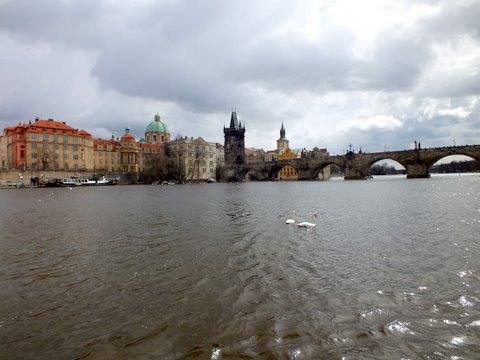 DSCF1739.JPG
