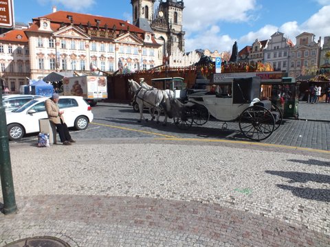 DSCF1773.JPG