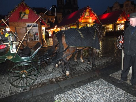 DSCF1882.JPG
