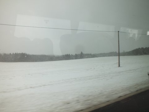 DSCF1897.JPG