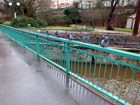 DSCF2095.JPG