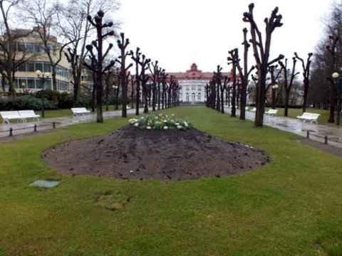 DSCF2104.JPG