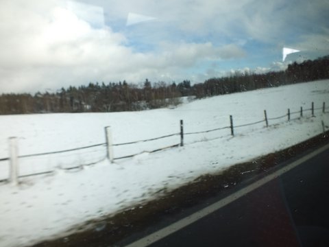 DSCF2187.JPG