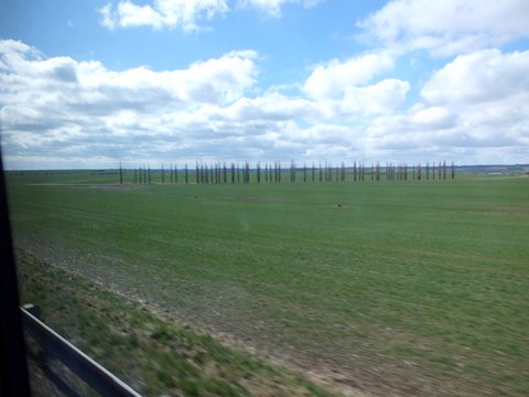 DSCF2220.JPG