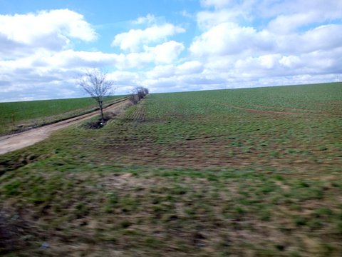 DSCF2225.JPG