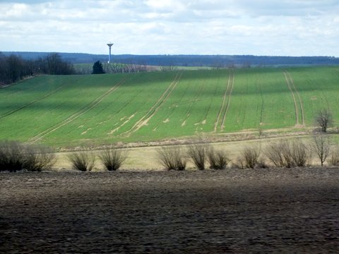 DSCF2235.JPG