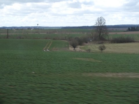 DSCF2243.JPG
