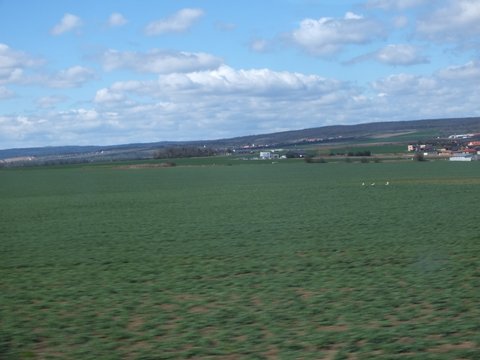 DSCF2265.JPG