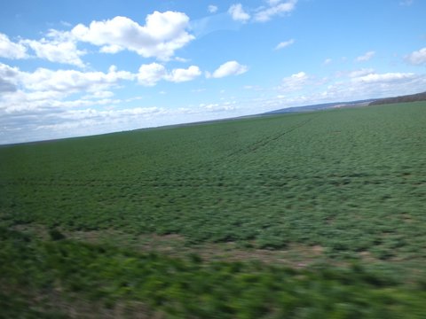 DSCF2266.JPG