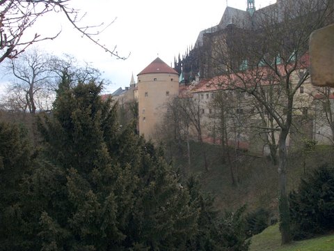 P4011829.JPG