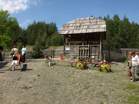 P6075715.JPG