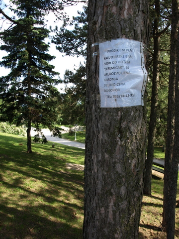 P6075743.JPG