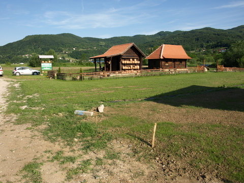P6075769.JPG
