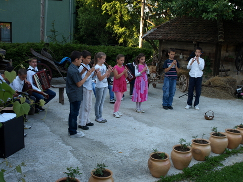 P6075857.JPG