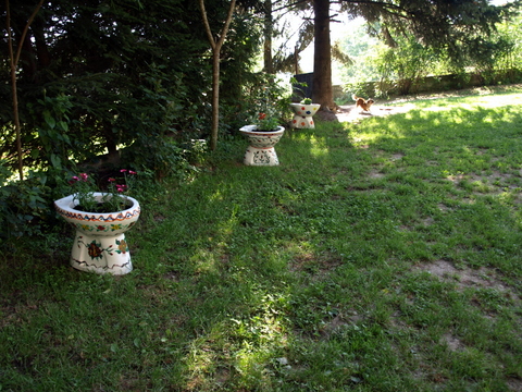 P6085860.JPG